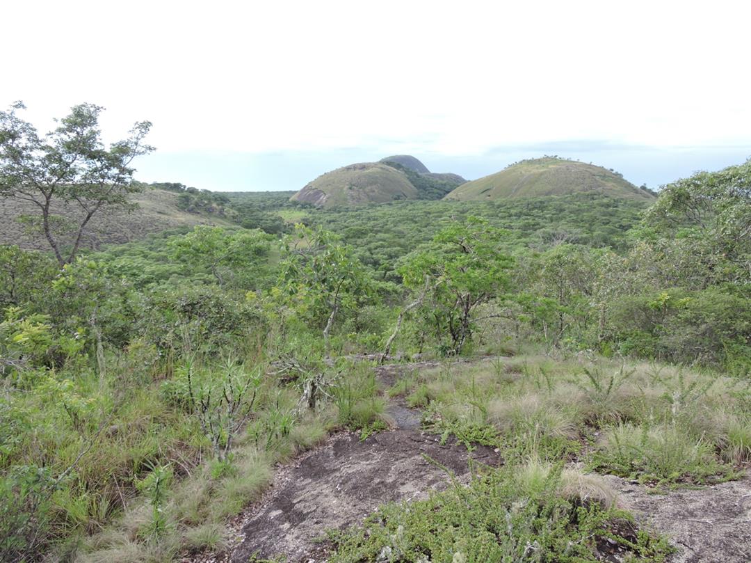 Mutinondo inselberg landscape. Habitat: Miombo woodland, inselbergs and rocky seepage slopes. Location: Mutinondo Wilderness Lodge, Mpika District, Muchinga Province Mutinondo inselberg landscape. Habitat: Miombo woodland, inselbergs and rocky seepage slopes. Location: Mutinondo Wilderness Lodge, Mpika District, Muchinga Province